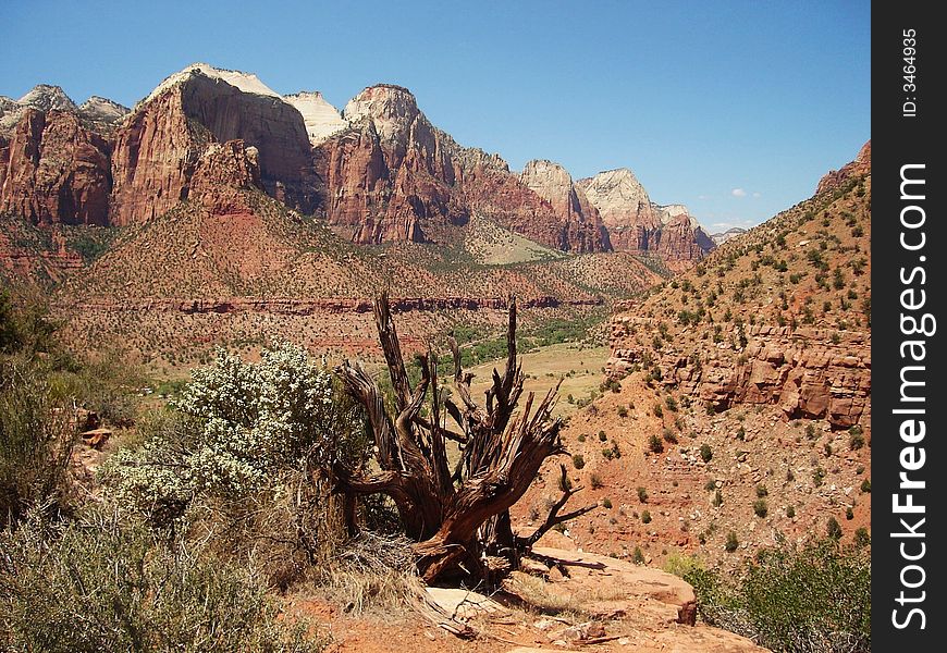 The picture of Lower Zion Canyon taken on Watchman Trail.
