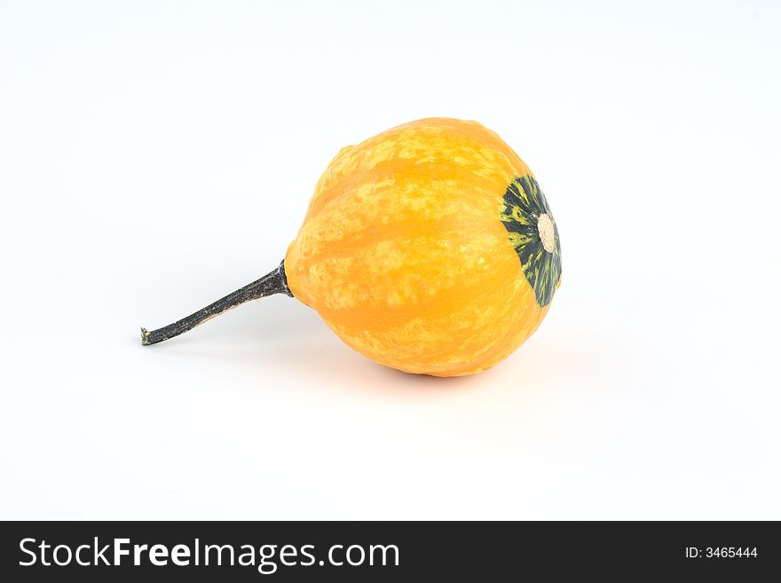 Mini Pumpkin Isolated