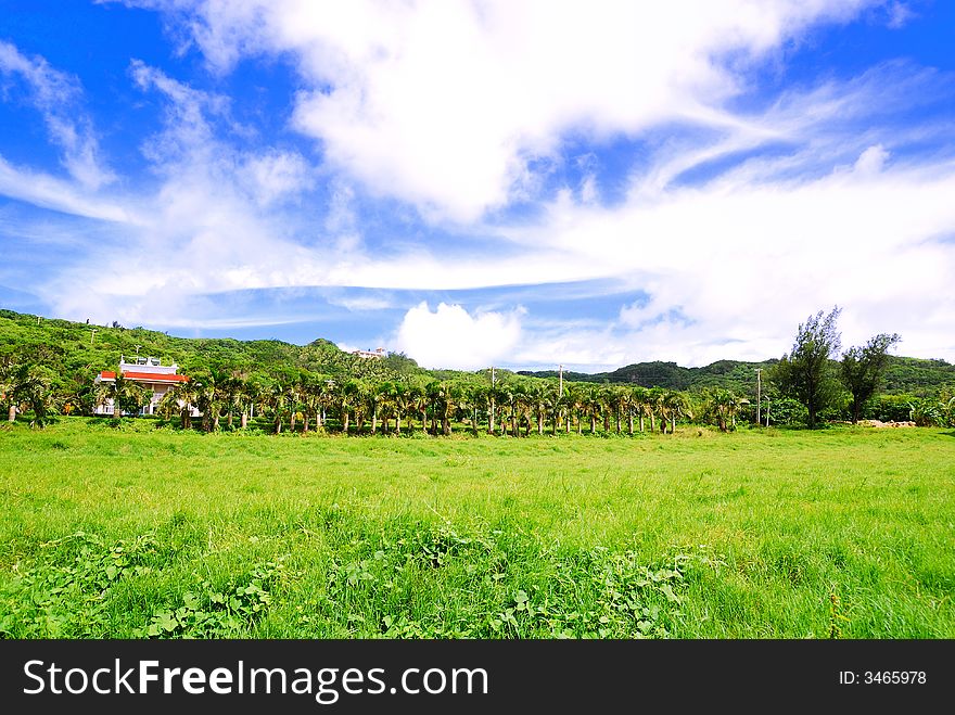 The field in Kenting, Taiwan