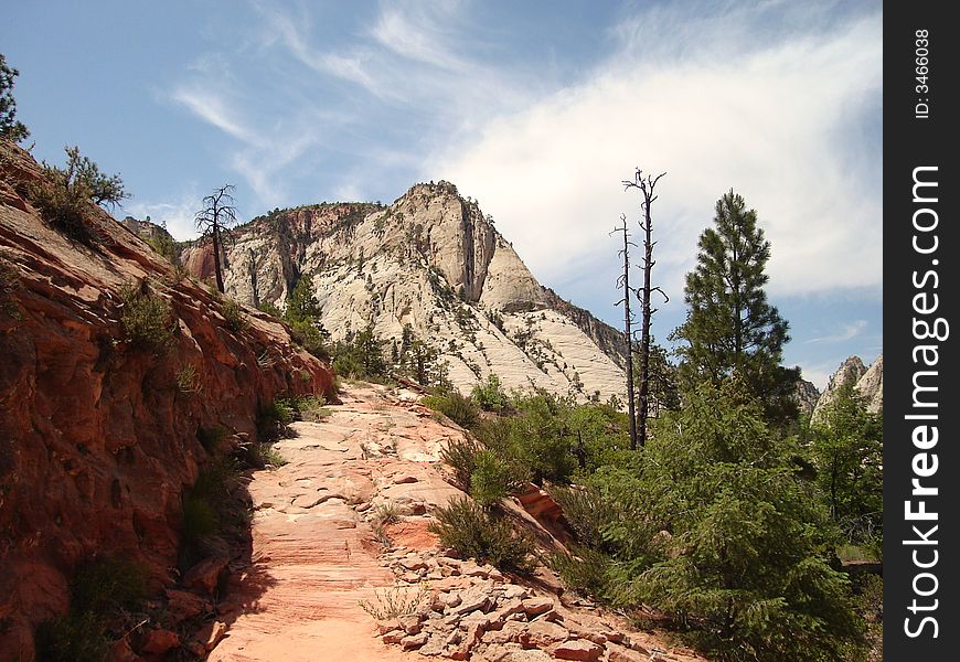 The picture taken from West Rim Trail in Zion National Park.