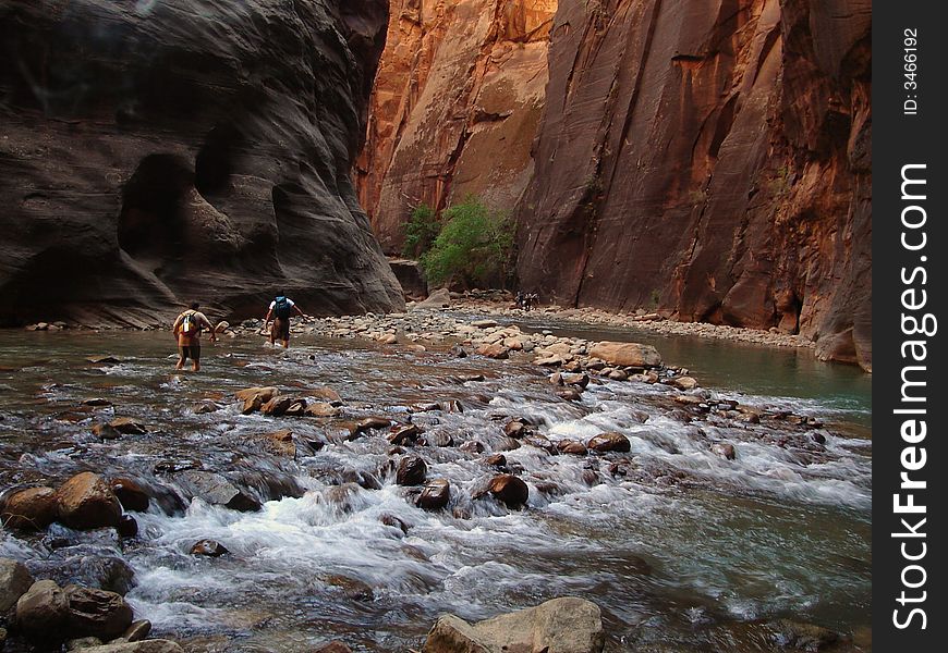 Hikers in Zion Narrows