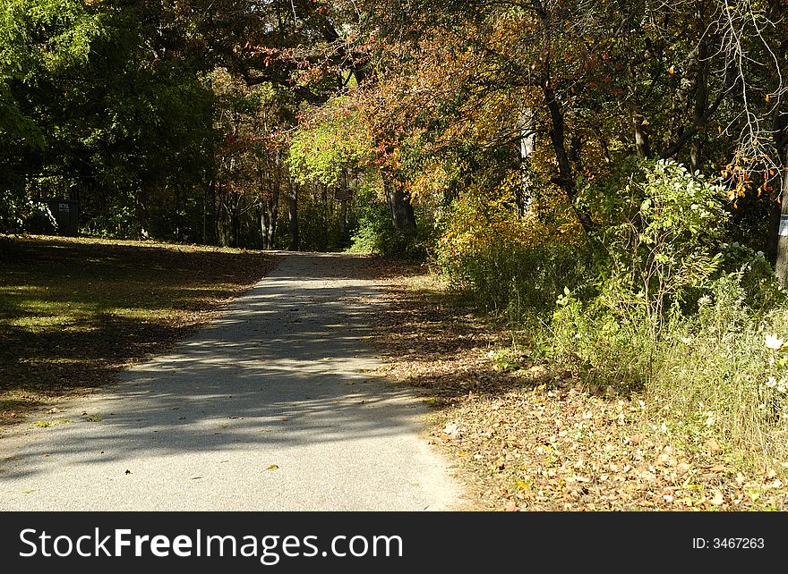 Photo of a Jogging Path in a Park - Outdoors Related