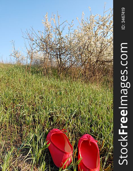 Red slippers and grass and blossom. Red slippers and grass and blossom