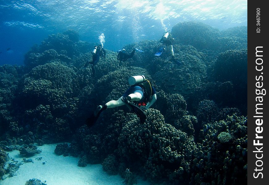 Diver Over Coral Reef
