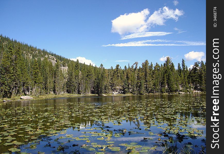 Lily Lake is a small lake in Rocky Mountains National Park in Colorado.