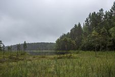 Forest Lake In Karelia Stock Image