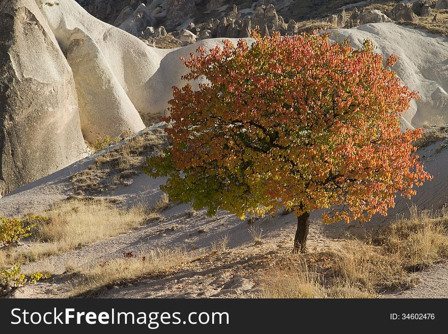 Autumn in Cappadocia