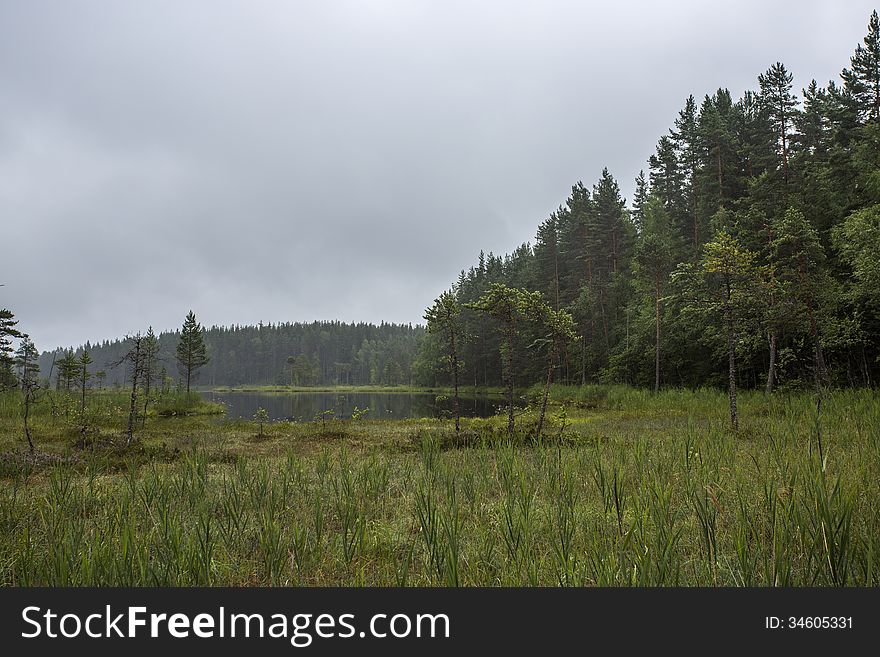 Forest lake in Karelia