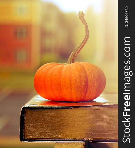 View of book and pumpkin