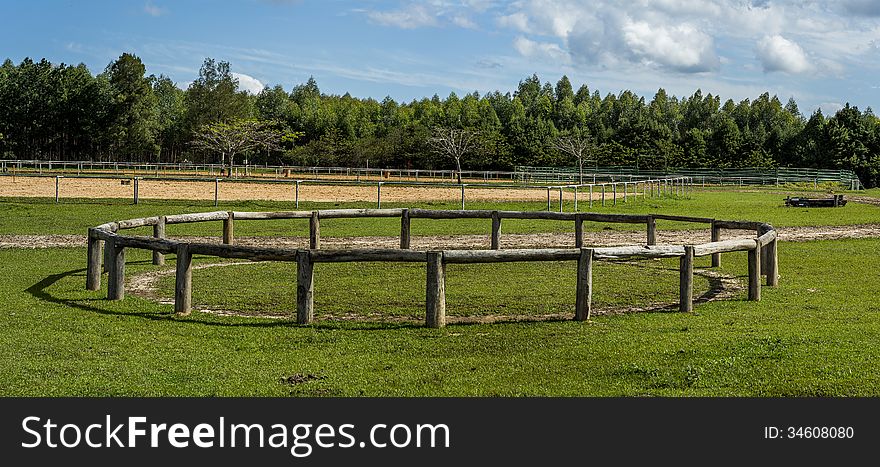 Horsemanship arena for training equines