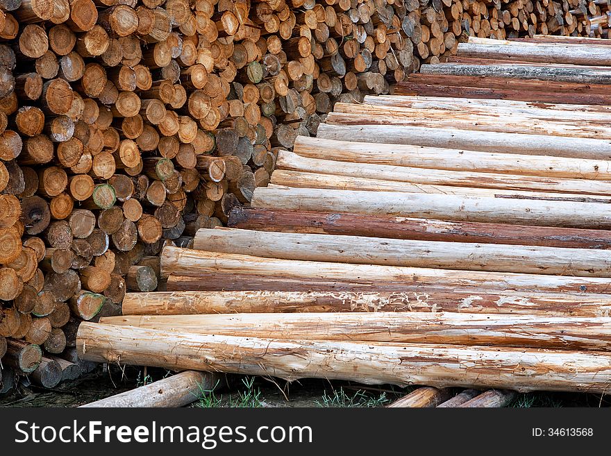 Wood poles in log yard