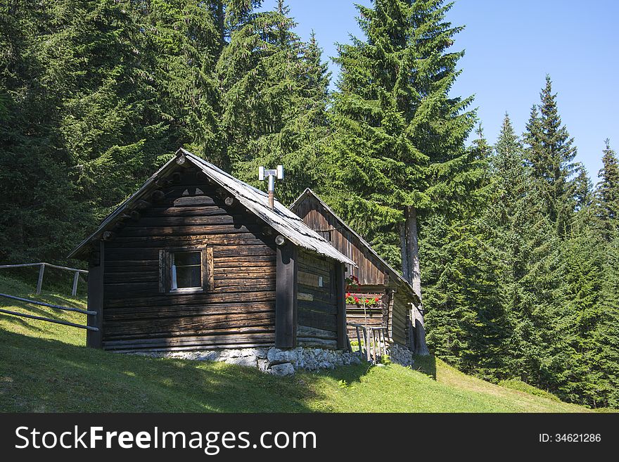 Wooden cottage in the middle of a green forest in plateau Pokljuka in Slovenia. A place to relax, breathe fresh air and enjoy peace surrounded by animals. Wooden cottage in the middle of a green forest in plateau Pokljuka in Slovenia. A place to relax, breathe fresh air and enjoy peace surrounded by animals.