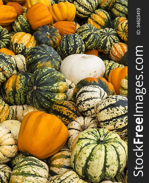 Colourful fresh pumpkins at a local farmer's market. Colourful fresh pumpkins at a local farmer's market