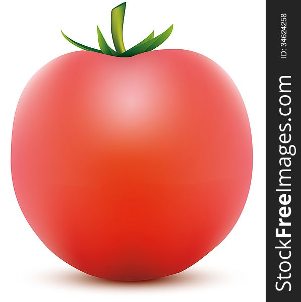 Abstract illustration of tomato with shadow on white background eps10