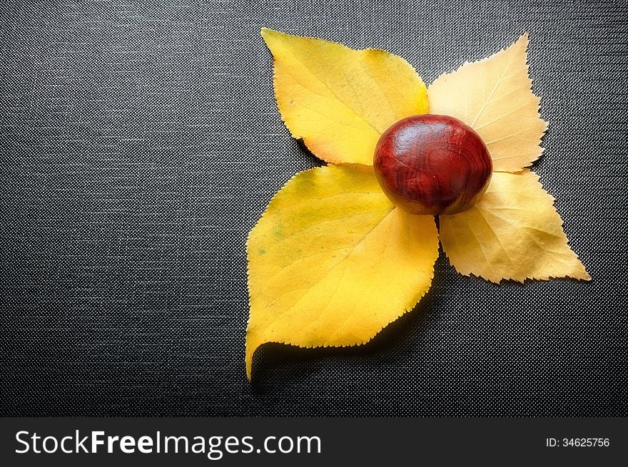 Photo Chestnut on autumn leaves on a black background textural. Photo Chestnut on autumn leaves on a black background textural