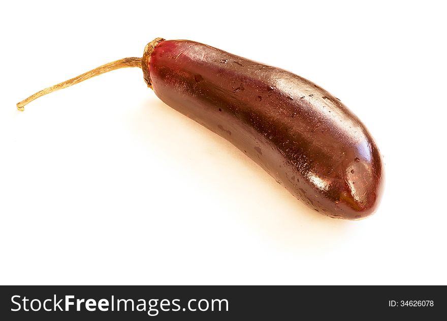 One eggplant on a white background