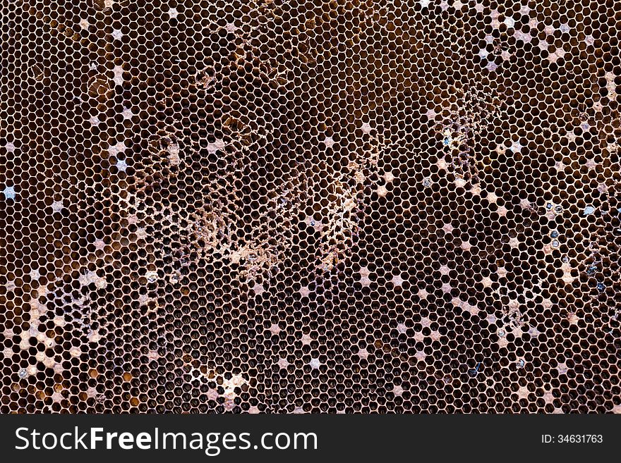 Real bee hives texture background
