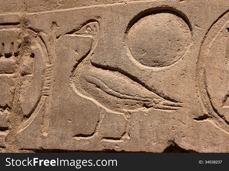 Egyptian hieroglyph bird