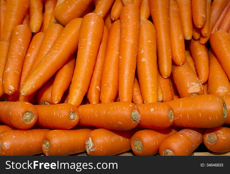 Bunch of carrots in white background.