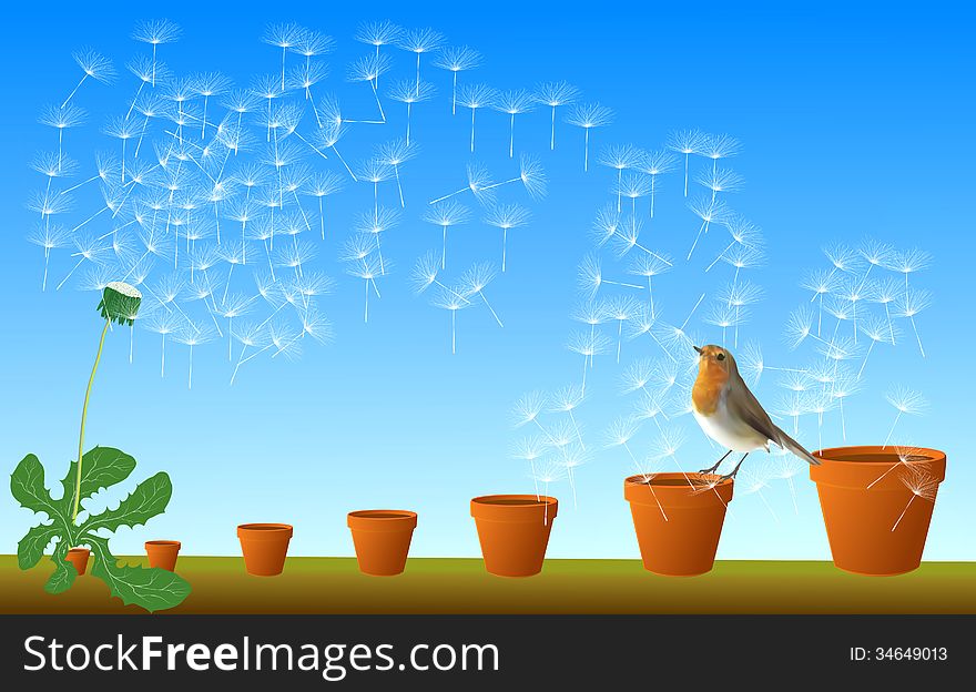 Flying Dandelion Seed