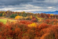 Autumn Hillside With Pine And Colorful Foliage Aspen Trees Near Royalty Free Stock Photos Autumn Hillside With Pine And Colorful Foliage Aspen Trees Near Royalty Free Stock Photos