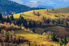 Autumn Mountain Meadow With Grass And Mixed Forest In Morning Li Stock Images Autumn Mountain Meadow With Grass And Mixed Forest In Morning Li Stock Images