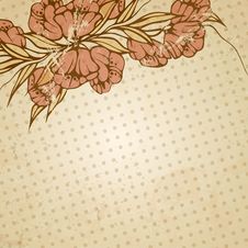 Abstract Floral Illustration Royalty Free Stock Image Abstract Floral Illustration Royalty Free Stock Image