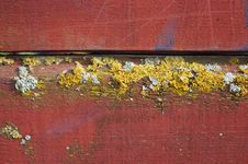 Old Wodden Board With Lichen Royalty Free Stock Photos