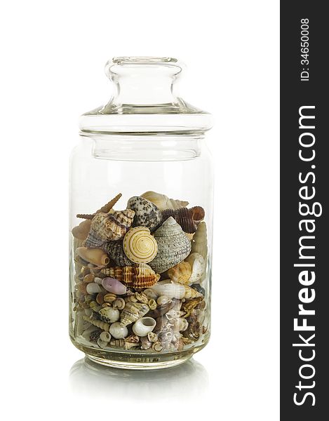 Small shells in jar on white background. Small shells in jar on white background