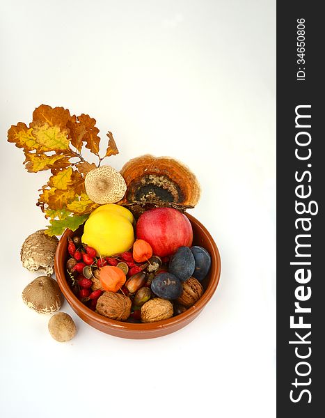 Autumn in a ceramic bowl - autumn decoration- fruit, fall leaves, acorns, nuts and mushrooms