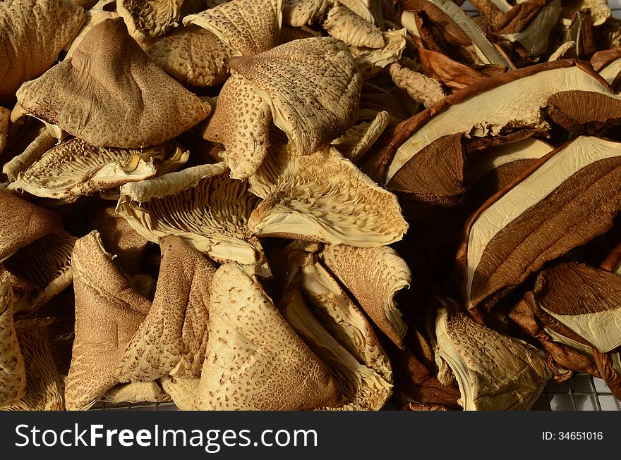 Background - full frame of dry Parasol mushrooms and Boletus. Background - full frame of dry Parasol mushrooms and Boletus