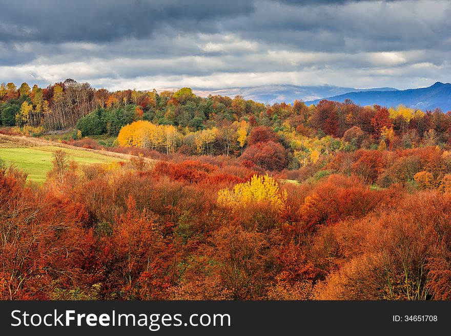 Autumn Hillside With Pine And Colorful Foliage Aspen Trees Near