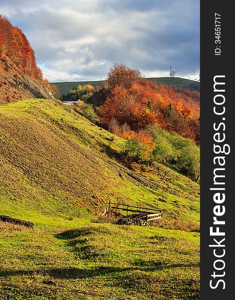 Autumn Hillside With Pine And Colorful Foliage Aspen Trees Near