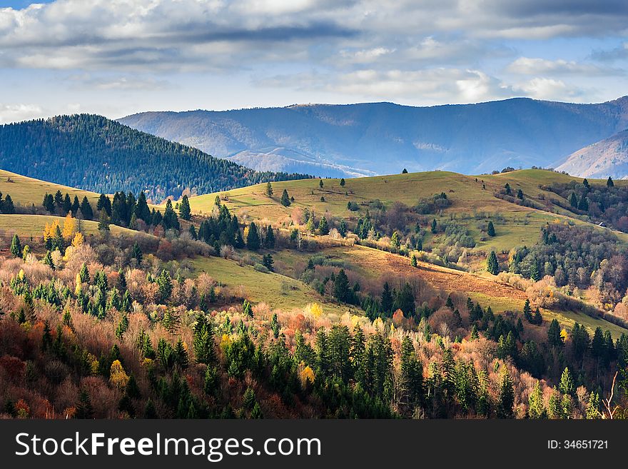 Autumn mountain landscape. valley on the hillside with coniferous and yellowed trees in early morning. Autumn mountain landscape. valley on the hillside with coniferous and yellowed trees in early morning