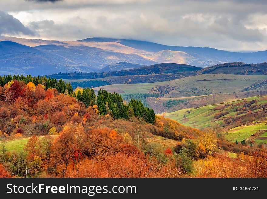 Autumn mountain landscape. hillside with pine and Colorful foliage aspen trees near green valley. Autumn mountain landscape. hillside with pine and Colorful foliage aspen trees near green valley