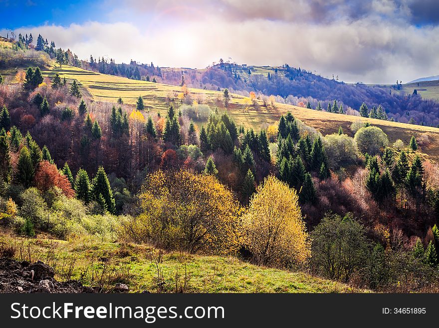 Autumn mountain landscape. valley on the hillside with coniferous and yellowed trees in early morning. Autumn mountain landscape. valley on the hillside with coniferous and yellowed trees in early morning