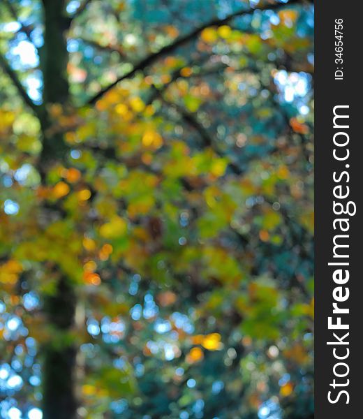 Blurred tree with fall-colored leaves creates an autumn themed background. Blurred tree with fall-colored leaves creates an autumn themed background