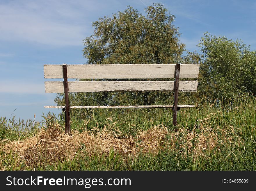 Bench in nature with a view to the sky