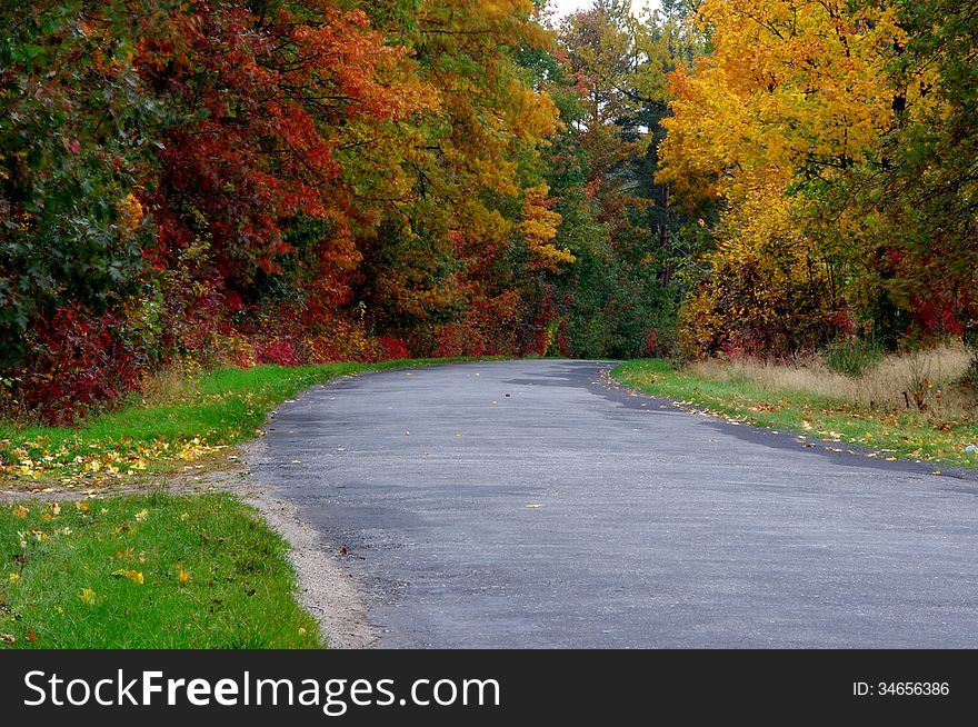 The photograph shows a narrow paved country road. On both sides of the road are trees and shrubs. It is autumn, the leaves are of different colors, the leaves still green, and yellow and brown. The photograph shows a narrow paved country road. On both sides of the road are trees and shrubs. It is autumn, the leaves are of different colors, the leaves still green, and yellow and brown.