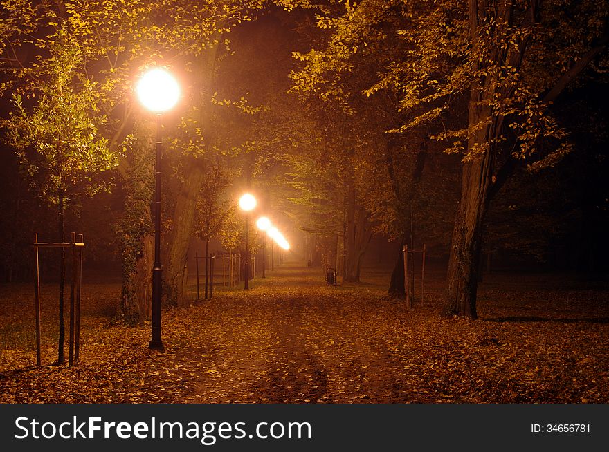 The picture shows Park 'alley at night. On the left side of the lane is a row of electric lanterns illuminating the darkness. The picture shows Park 'alley at night. On the left side of the lane is a row of electric lanterns illuminating the darkness.