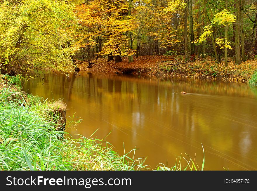 The photograph shows a small river flowing through the forest. It is autumn, the leaves are green, yellow and brown. The photograph shows a small river flowing through the forest. It is autumn, the leaves are green, yellow and brown.