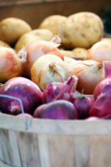 Onion Variety Stock Photos