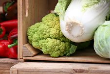 Cabbage And Cauliflower Royalty Free Stock Photo