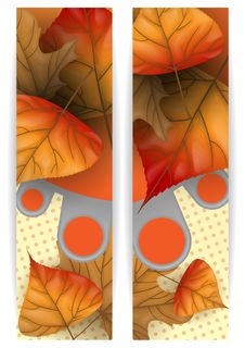 Autumn Sale. Stock Image Autumn Sale. Stock Image