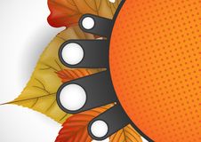 Autumn Sale. Stock Images Autumn Sale. Stock Images