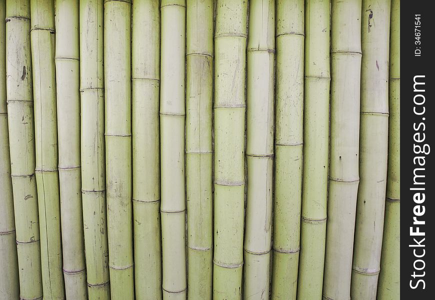 Bamboo Background