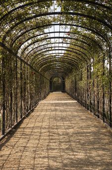 The Tunnel Of Flowers Royalty Free Stock Photography The Tunnel Of Flowers Royalty Free Stock Photography