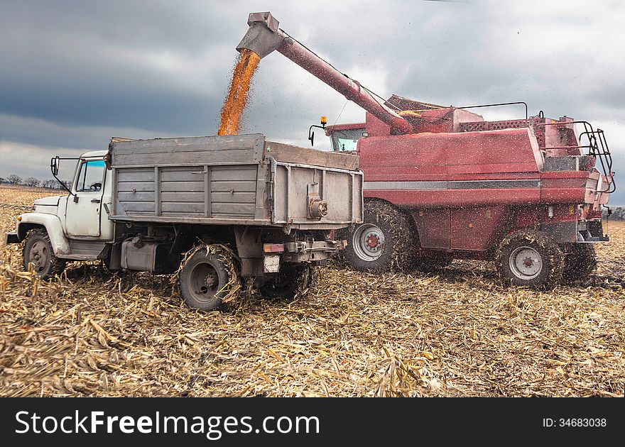 Machines for harvesting maize in autumn