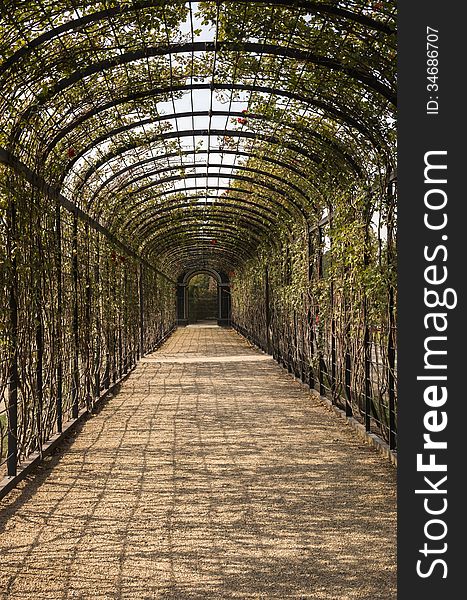 Park SchÃ¶nbrunn Palace in Vienna, the tunnel of metal entwined with flowering plants. Park SchÃ¶nbrunn Palace in Vienna, the tunnel of metal entwined with flowering plants