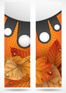 Autumn Sale. Royalty Free Stock Photo Autumn Sale. Royalty Free Stock Photo